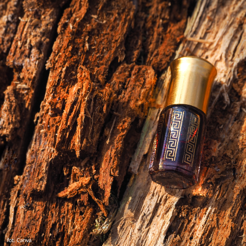 perfumy damskie i męskie z oudem